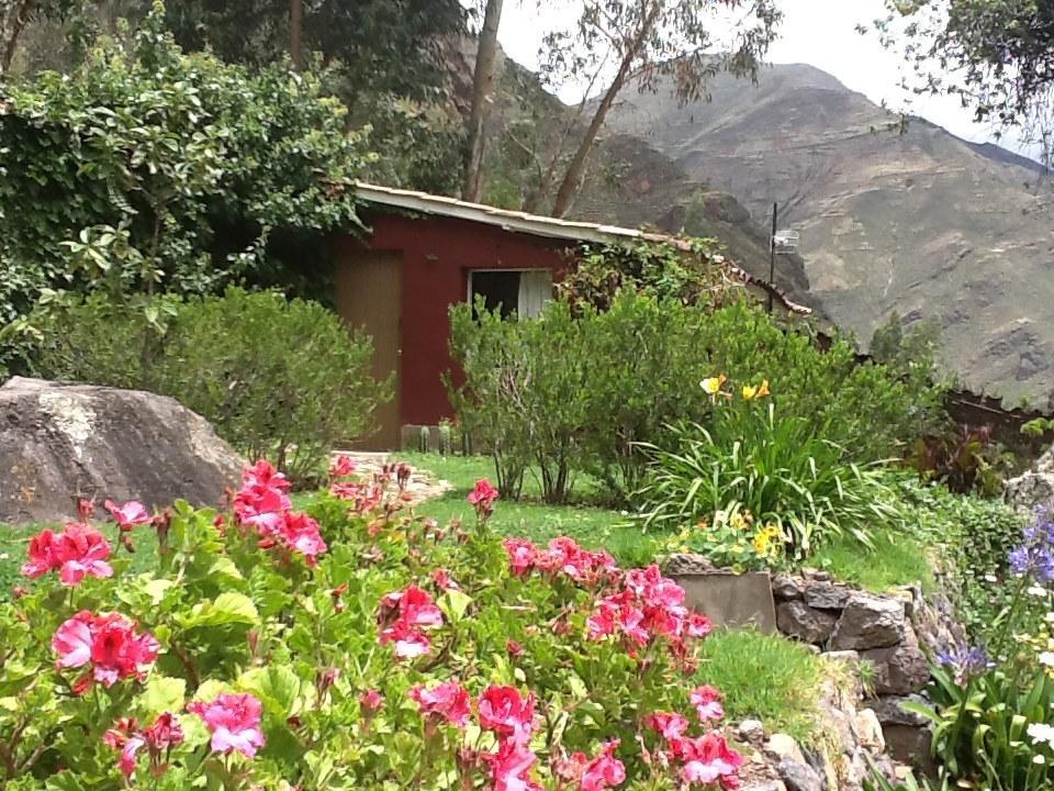La Casa Del Conde Bed and Breakfast Pisac Buitenkant foto